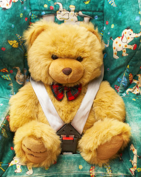 Bear in an automobile armchair