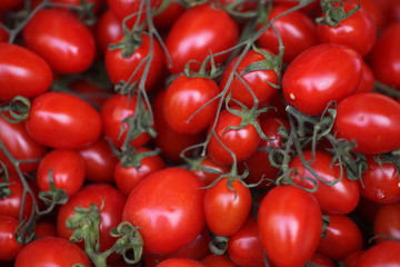 Tomaten
