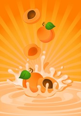 Tasty apricot in yoghurt