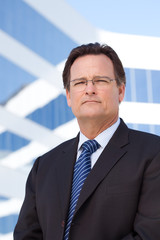 Fototapeta premium Handsome, Confident Businessman