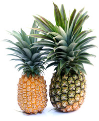 ananas "Victoria" et ananas "Maingard", fond blanc