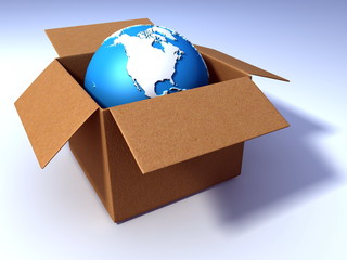 Globe in the cardbox