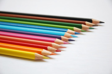 a bunch of color pencil with white background
