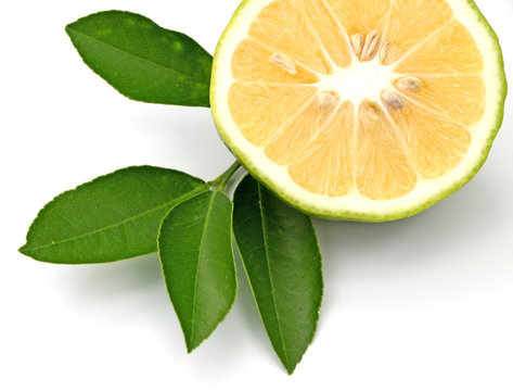 citron naturel bio sans ogm