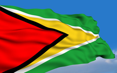 Guyanese flag