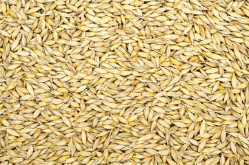 grain as good natural background