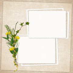 Card for the holiday  with flowers  on the abstract background
