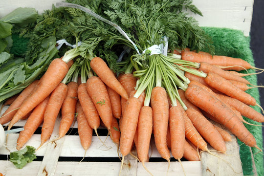 carottes sur le marché