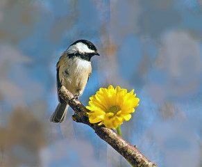 thinking spring