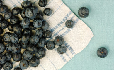 Fresh Blueberries