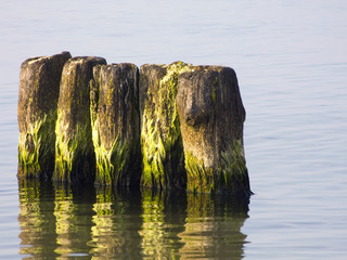 Sea. Breakwater