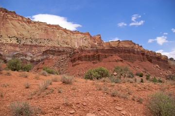 Fototapeta premium Coloured layers of rock, Capitol Reef National Park
