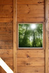 Wooden window jungle green forest view