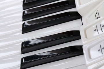 Klaviatur und Register eines Akkordeons