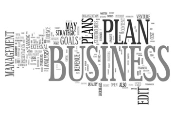 Business Plan