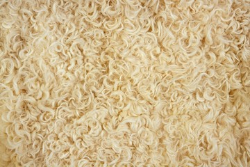 Lamb wool macro texture closeup cream color