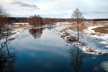 Freezing woody river