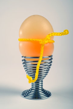 flexible egg