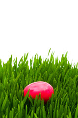 Easter concept - colourful eggs in green glass