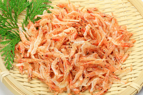 small pink shrimp