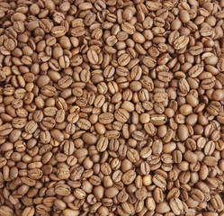 background from coffee grains