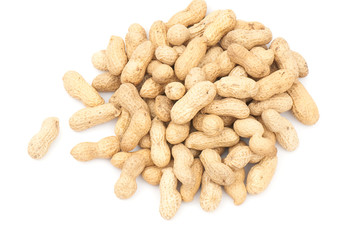 Peanut