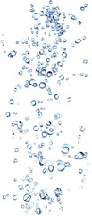 Ascending water bubbles - obrazy, fototapety, plakaty