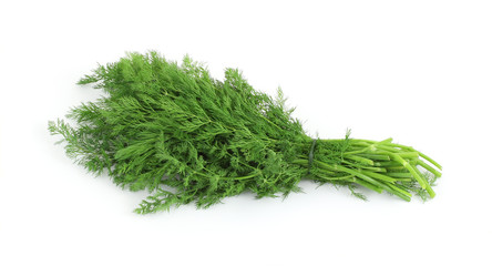 Fresh organic dill herb