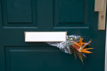 Bouquet of strelitzia flowers in a mailbox