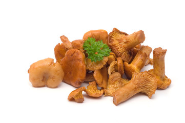 Eingelegte Pfifferlinge