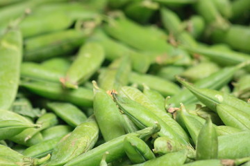 pea background