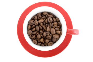 Beans in Cup