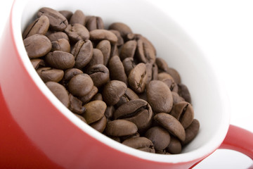Brown Coffee Beans in Red Cup