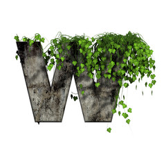 green ivy on 3d stone letter