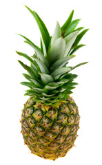 Fototapeta premium Pineapple