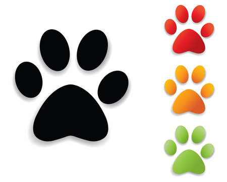 paw print collection