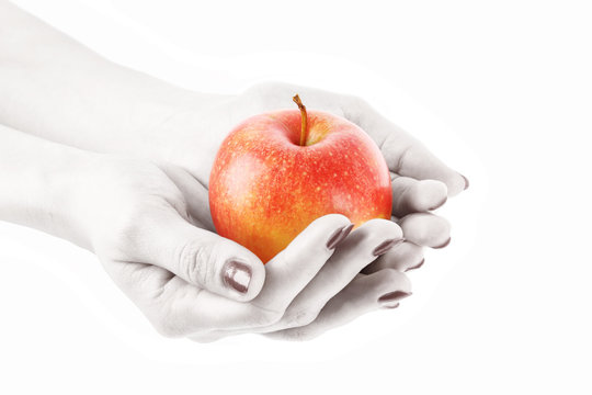 An Apple On The Hand Isolated On White.. Black And White Hands