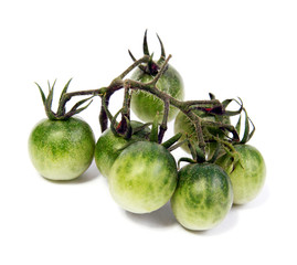 Bunch of green tomatoes