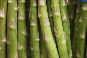 Fototapeta premium Spargel