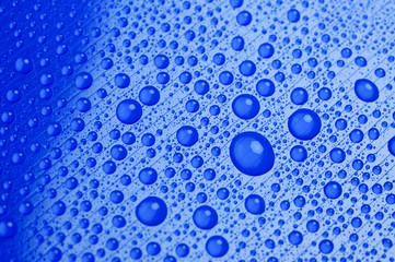 Wasser. Riechen und Schmecken