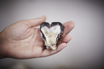 heart shaped oyster - 21401764