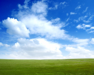 Fototapeta na wymiar Green field with blue sky
