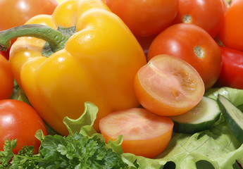 Fresh and tasty vegetables