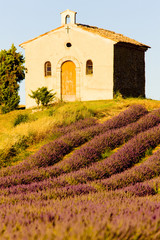 chapel with lavender field, Valensole, Provence, France