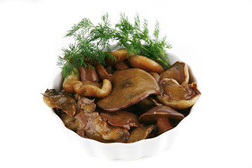 mushrooms on ceramic plates
