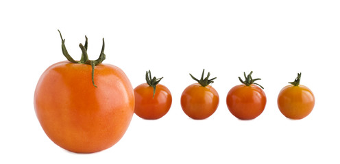 Tomatoes