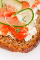 Toasts  with vegetables and fish