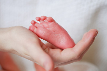 adorable newborn baby feet