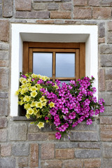 finestra con fioritura