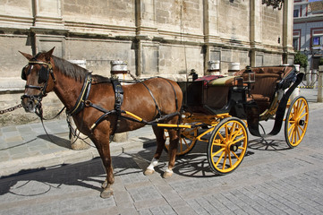 carriage in Seville